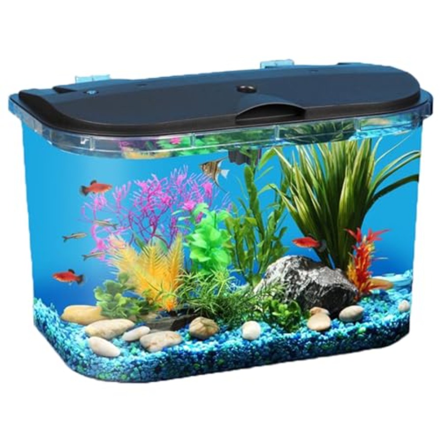 Aquarium Fish Variety - 5-Gallon Aquarium Kit with LED Lighting