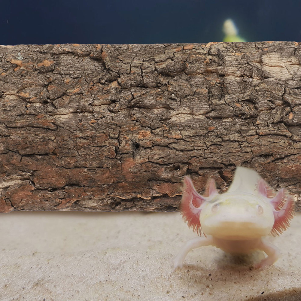 Aquarium Fish Background - Cork Bark Fish Tank Background Board