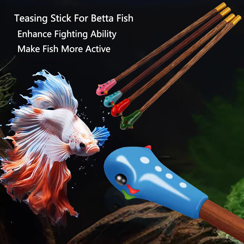 Aquarium Betta Training Wand W - Aquarium Fish Game avis et prix