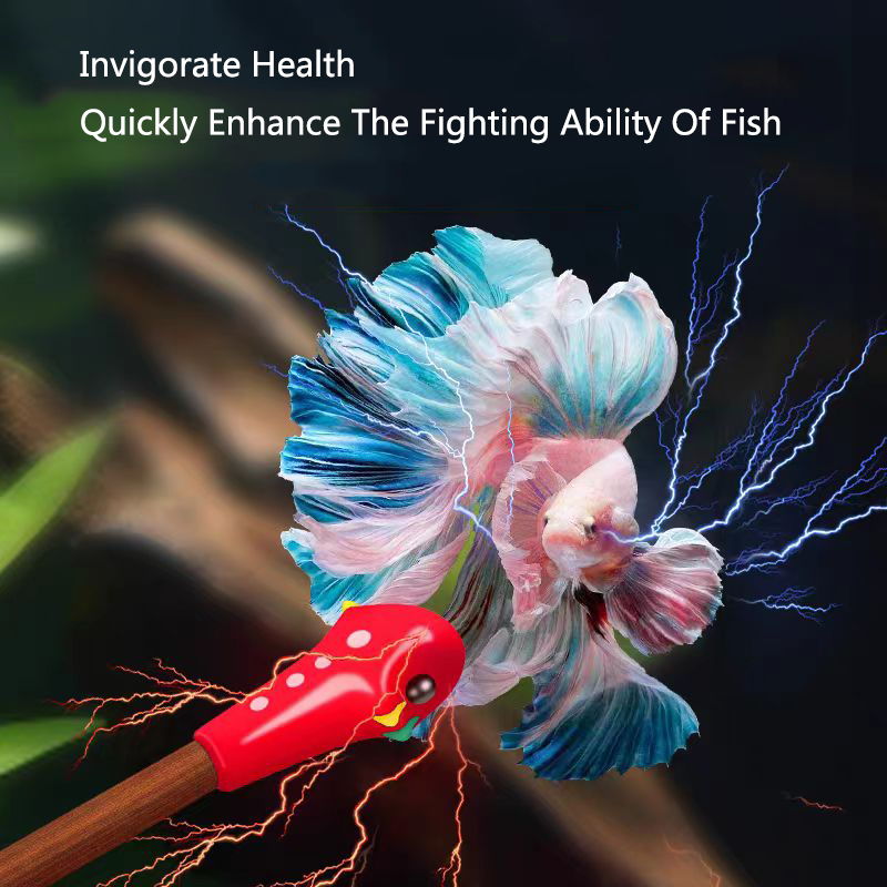 Aquarium Betta Training Wand W - Aquarium Fish Game avis et prix