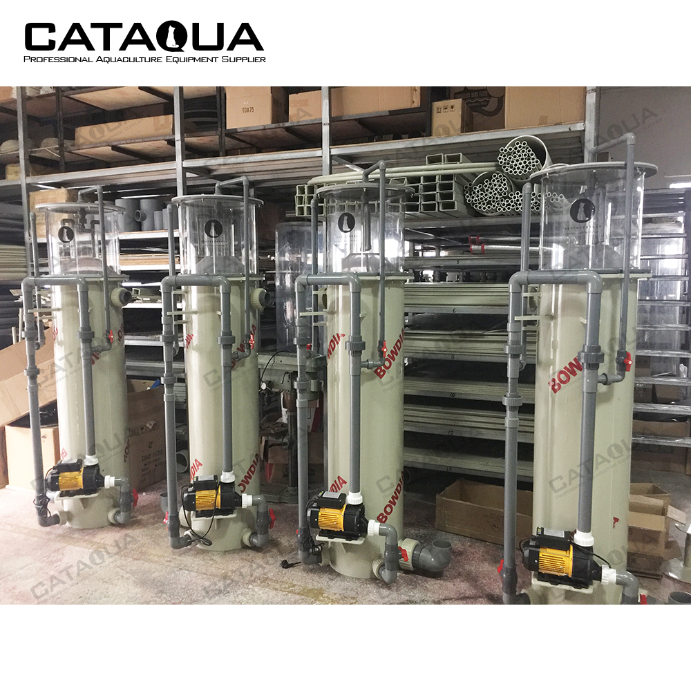 CATAQUA CE Commercial Ocean Pr - Aquarium Fish Farm avis et prix
