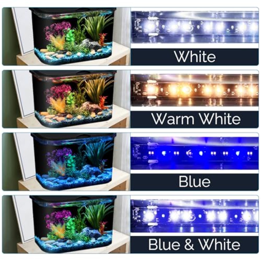 5-Gallon Aquarium Kit with LED - Aquarium Fish Variety avis et prix