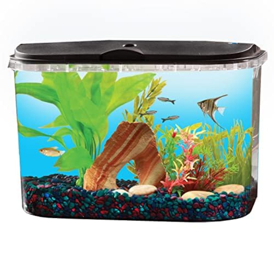 5-Gallon Aquarium Kit with LED - Aquarium Fish Variety avis et prix