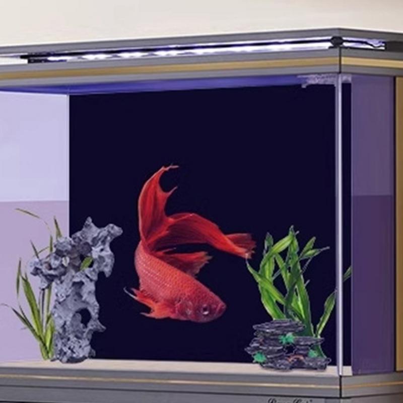 Black Aquarium Background Wall - Aquarium Fish Poster avis et prix