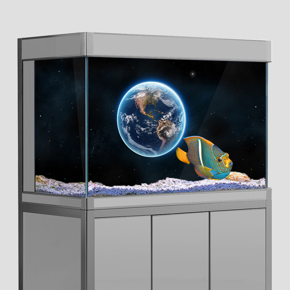 Aquarium Fish Tank  Background - Aquarium Fish Poster avis et prix