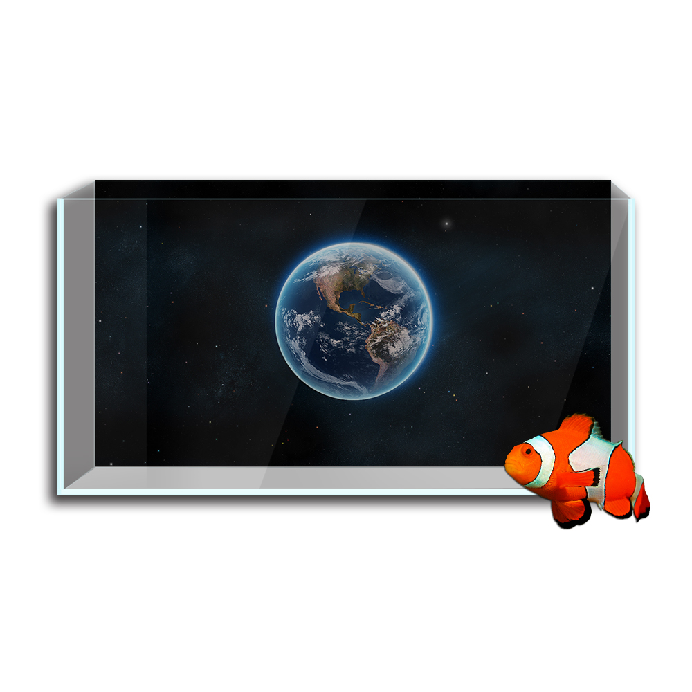 Aquarium Fish Tank  Background - Aquarium Fish Poster avis et prix