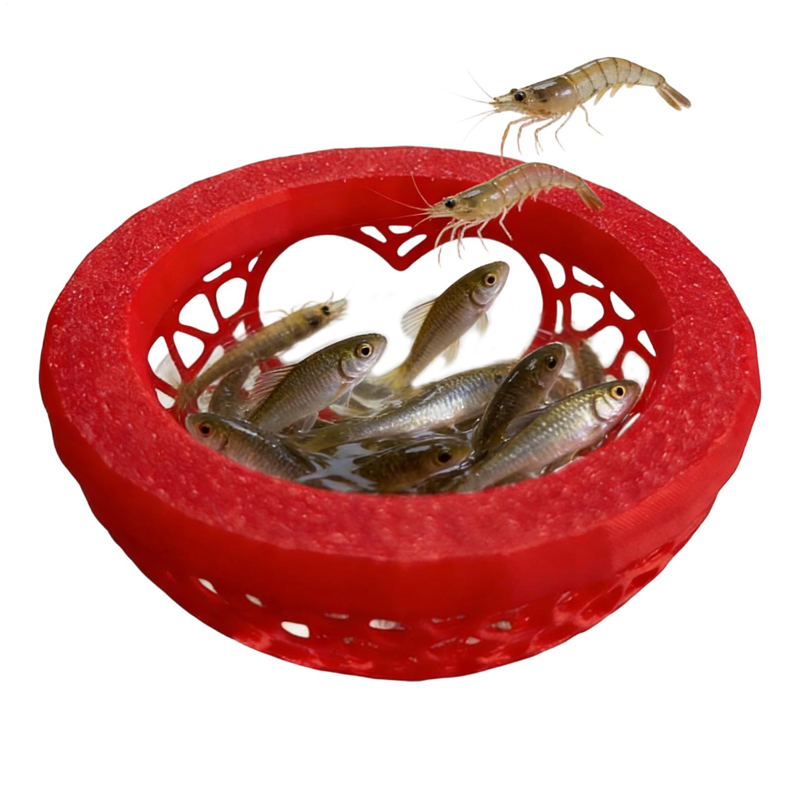 Floating betta shelter Betta h - Aquarium Fish Game avis et prix