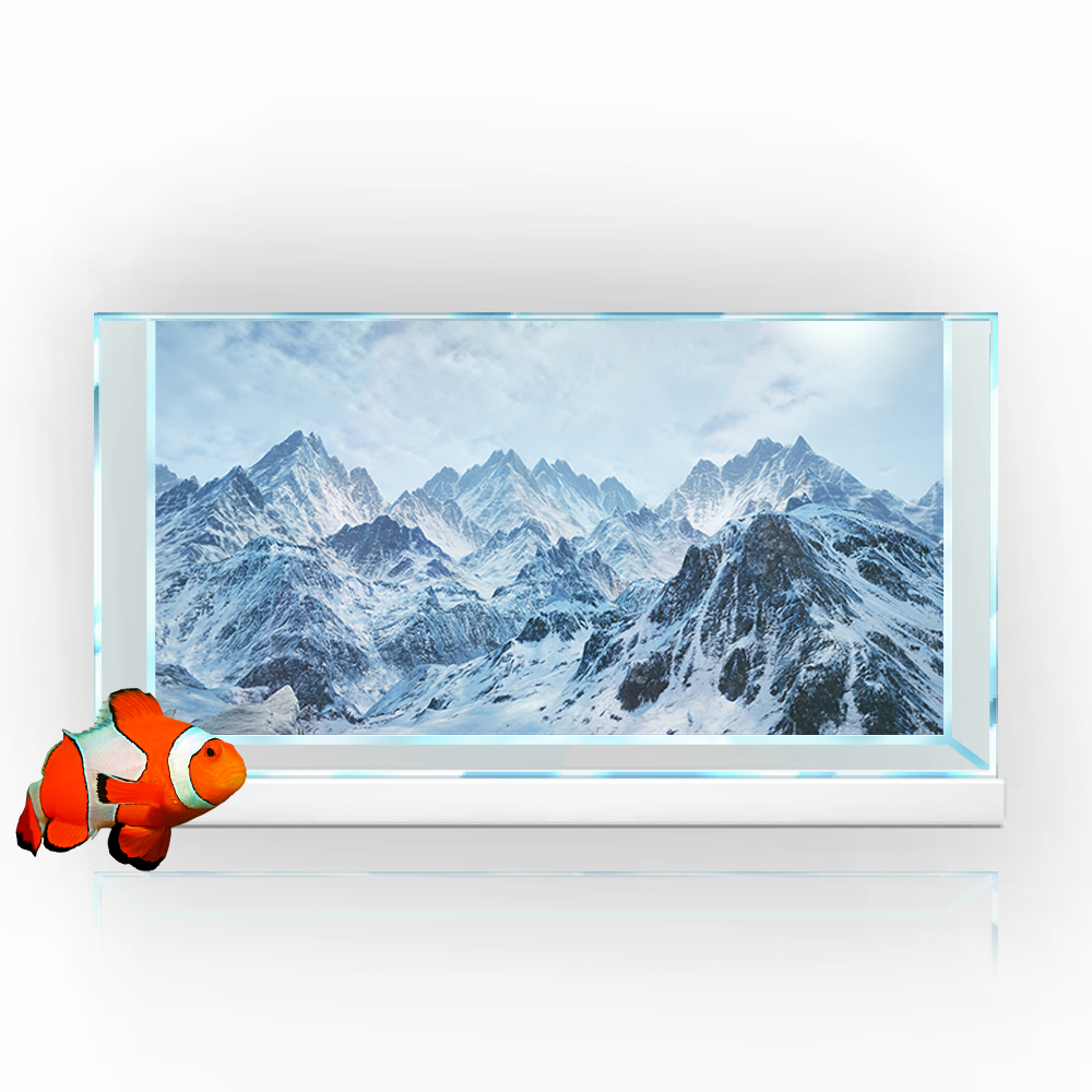 Aquarium Background Sticker,   - Aquarium Fish Poster avis et prix