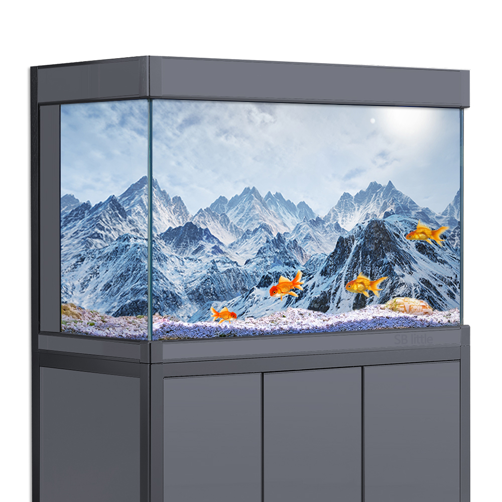Aquarium Background Sticker,   - Aquarium Fish Poster avis et prix