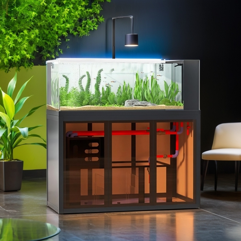 Industrial-style aquascape fis - Aquarium Fish Low Maintenance avis et prix