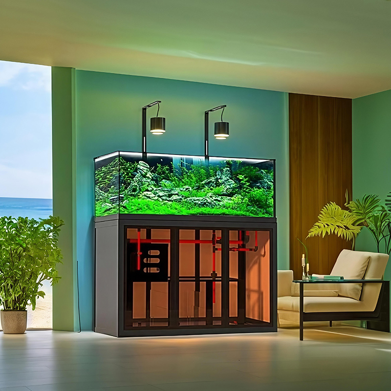 Industrial-style aquascape fis - Aquarium Fish Low Maintenance avis et prix