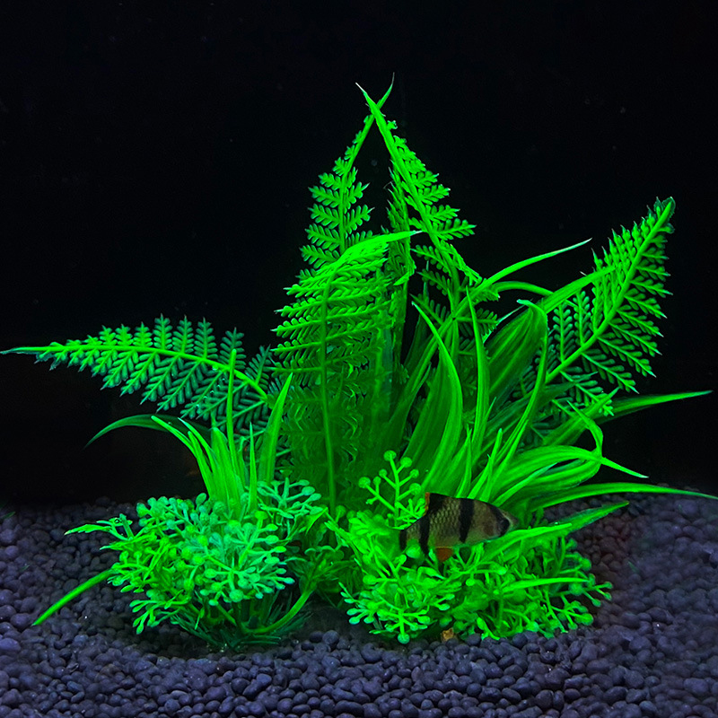 Aquarium decoration a variety  - Aquarium Fish Variety avis et prix