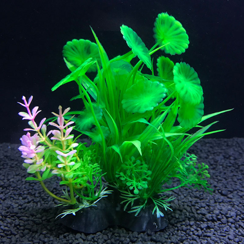Aquarium decoration a variety  - Aquarium Fish Variety avis et prix