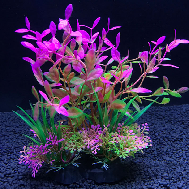 Aquarium decoration a variety  - Aquarium Fish Variety avis et prix