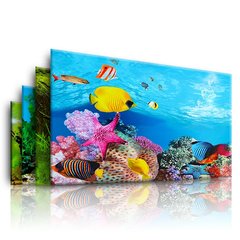 Background for Aquarium 3d  St - Aquarium Fish Background avis et prix