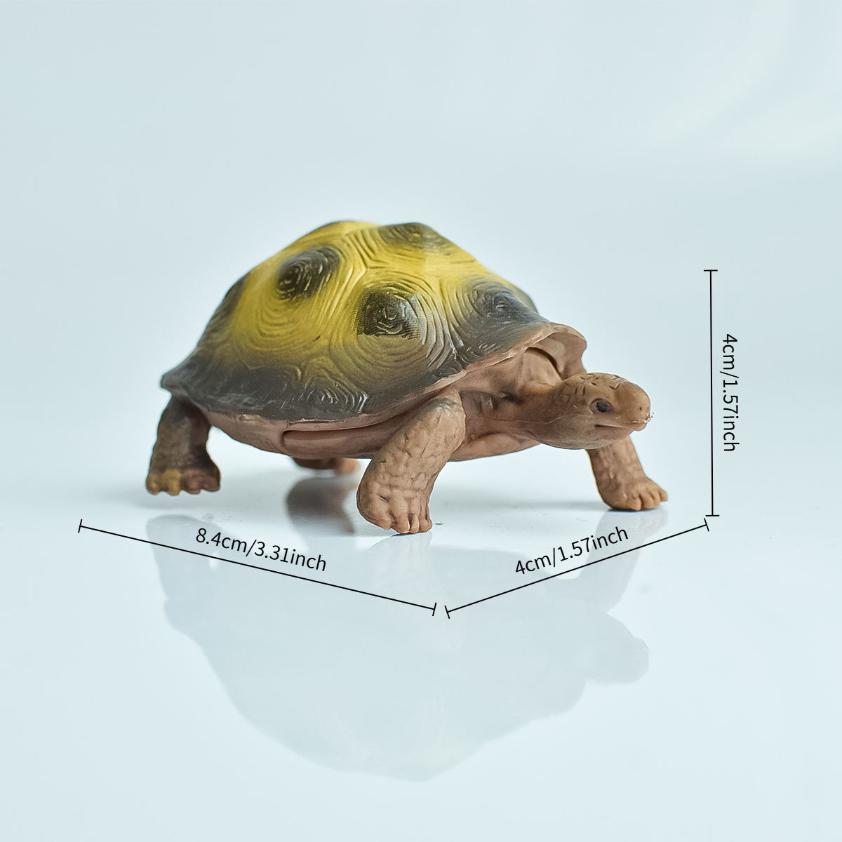 Painted Realistic Animal Turtl - Aquarium Fish Gallery avis et prix