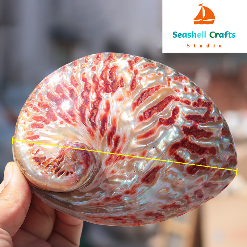 Home Decoration Red Pattern Ab - Aquarium Fish Gallery avis et prix