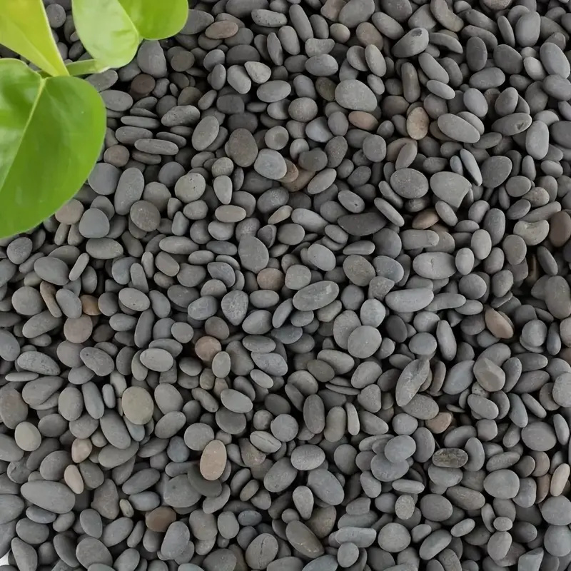 20Pcs Natural River Rocks Smoo - Aquarium Fish Gallery avis et prix