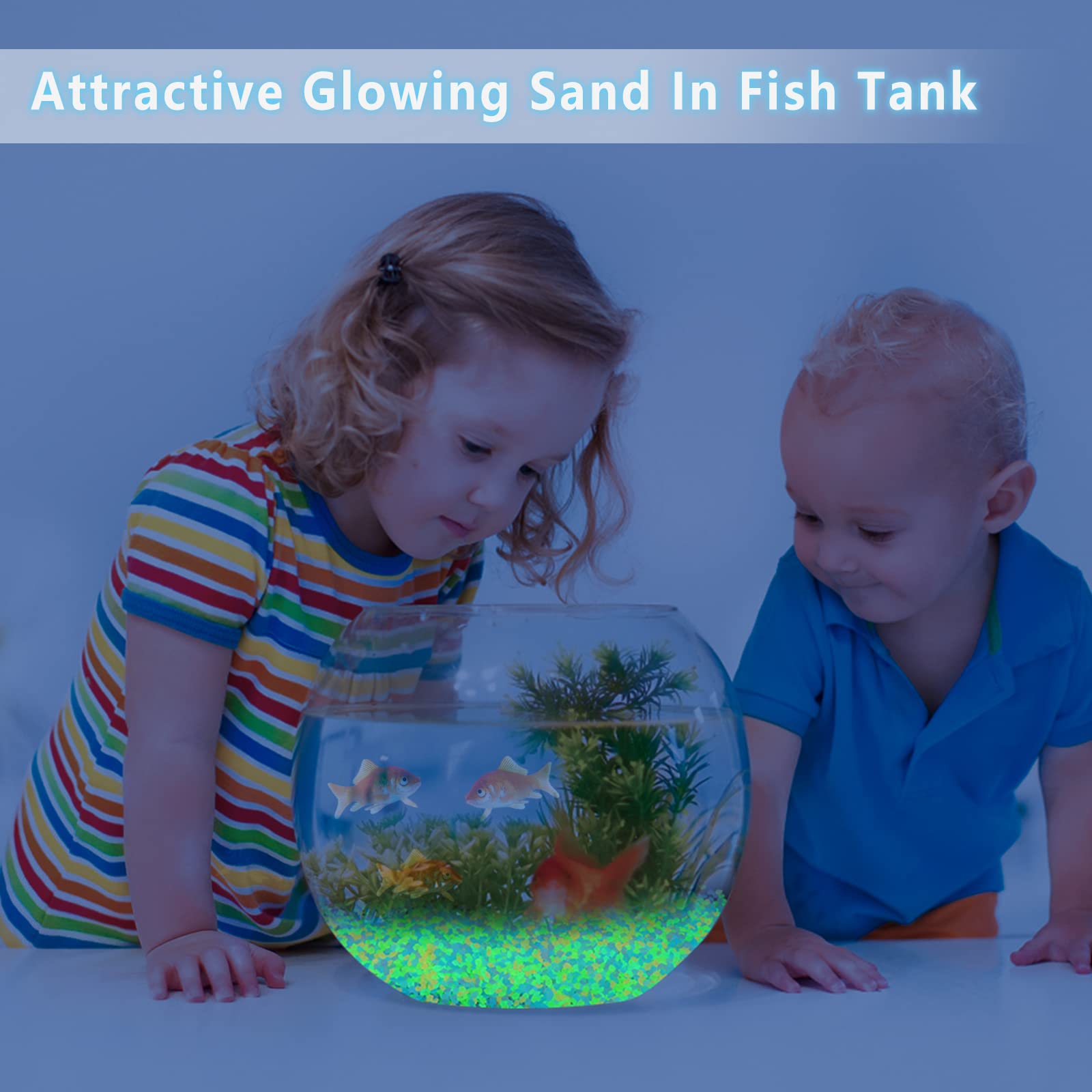 1000Pcs Luminous Sand Glow In  - Aquarium Fish Gallery avis et prix