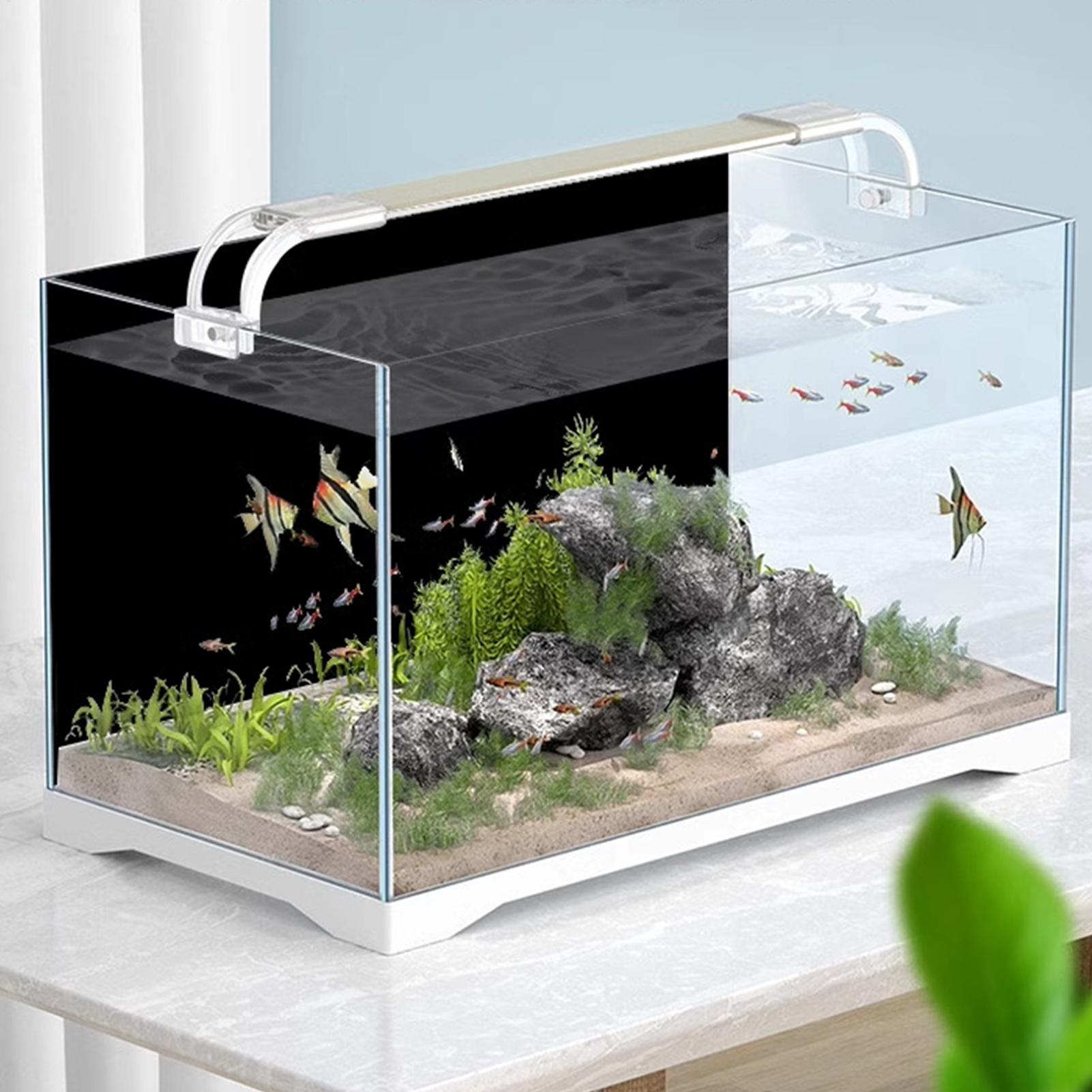 Fish Tank Background Static Cl - Aquarium Fish Poster avis et prix