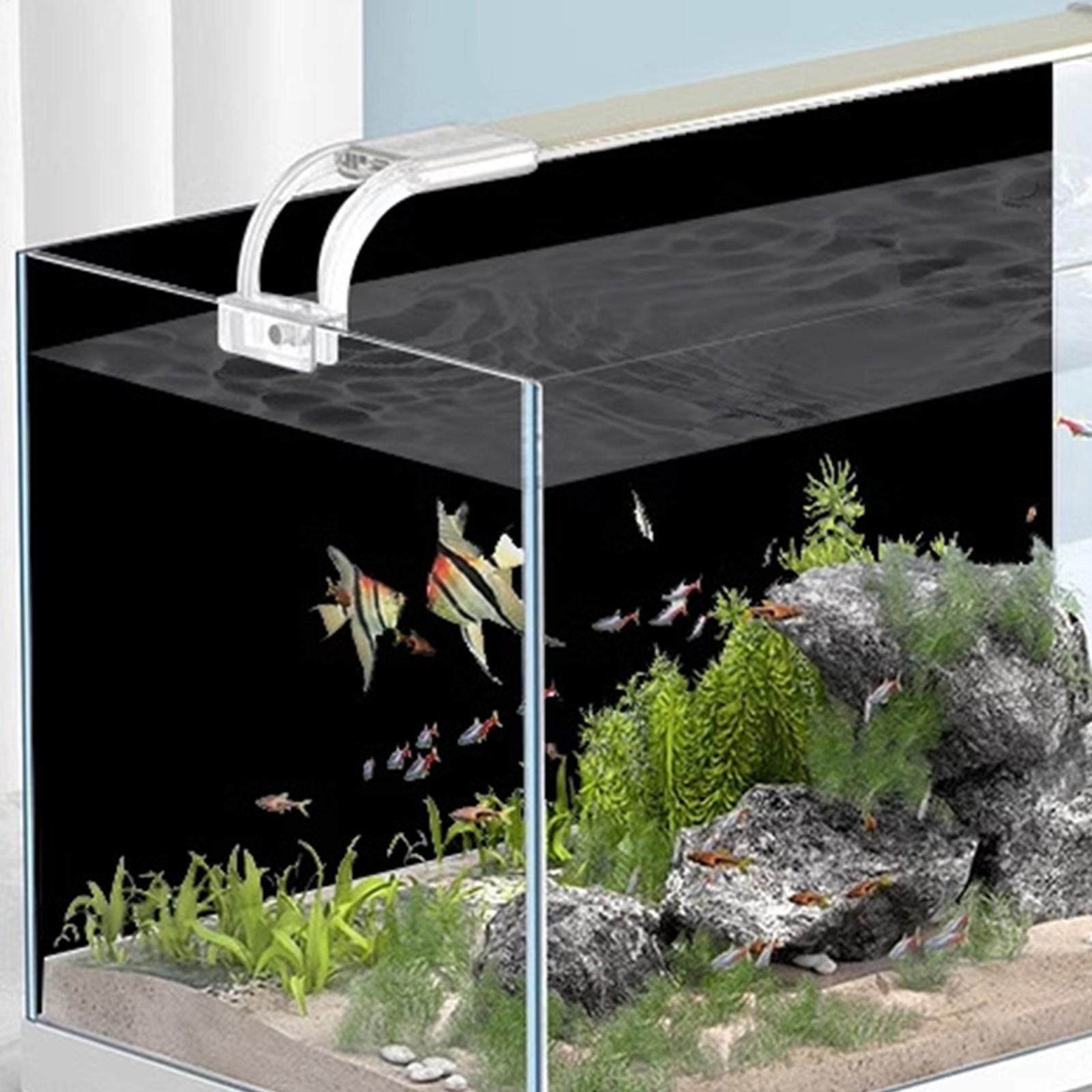 Fish Tank Background Static Cl - Aquarium Fish Poster avis et prix