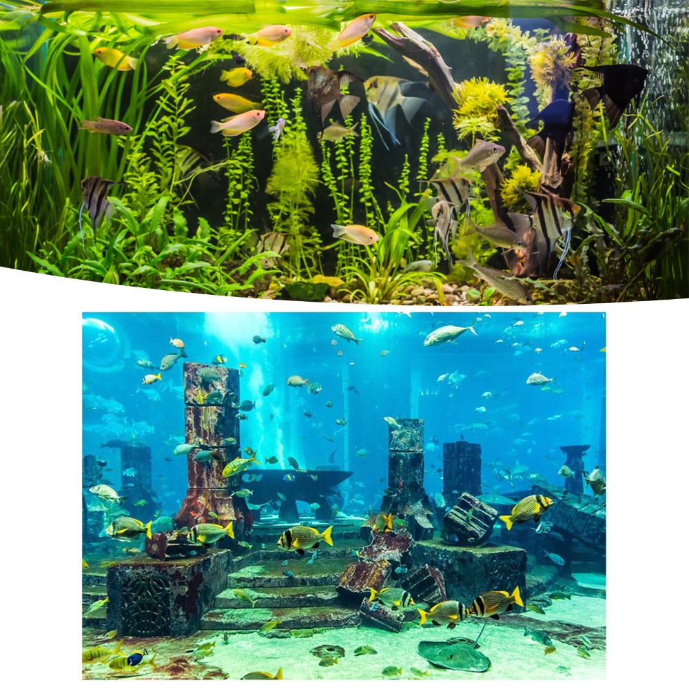 Background Sticker Undersea Th - Aquarium Fish Poster avis et prix