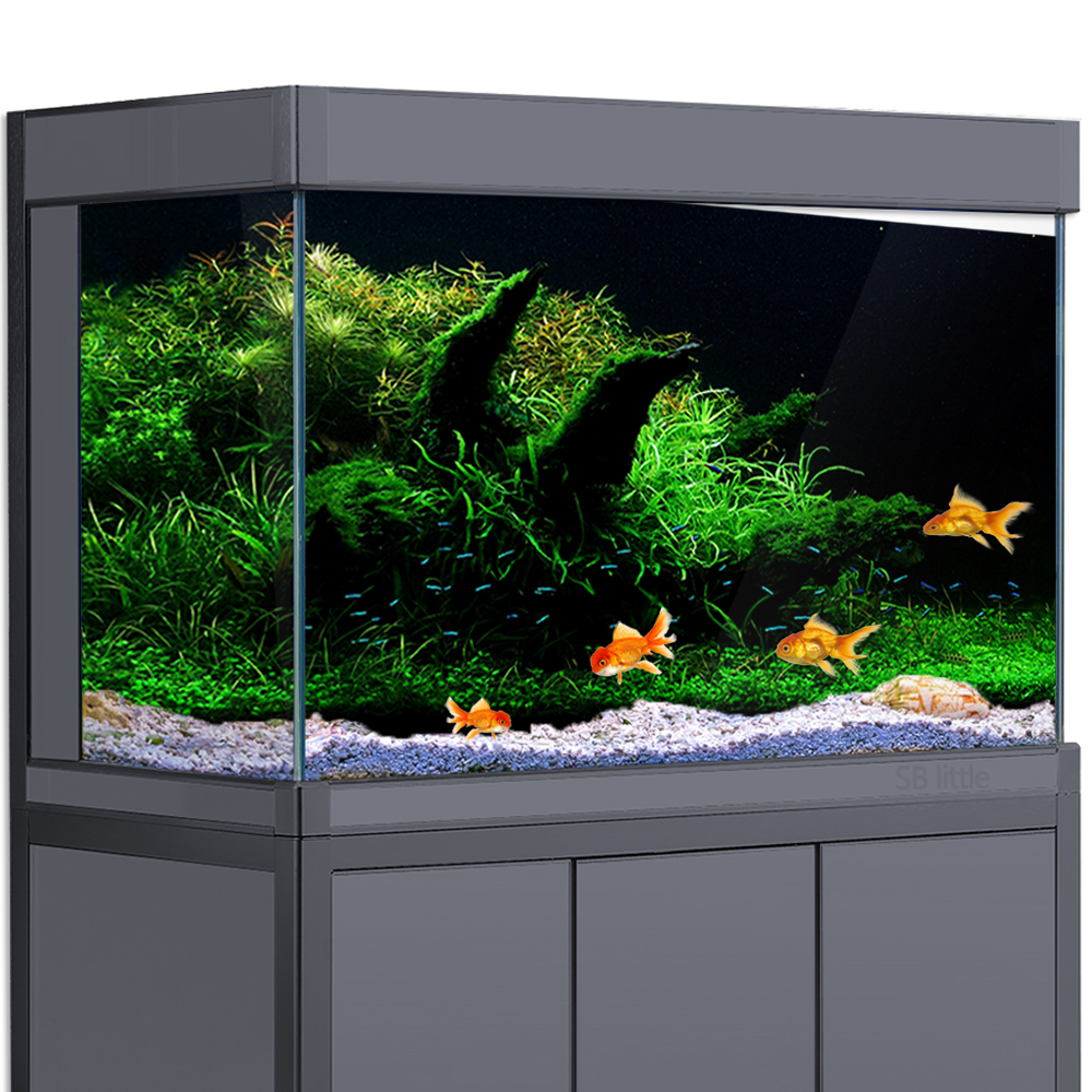 Aquarium Background Fish Tank  - Aquarium Fish Poster avis et prix