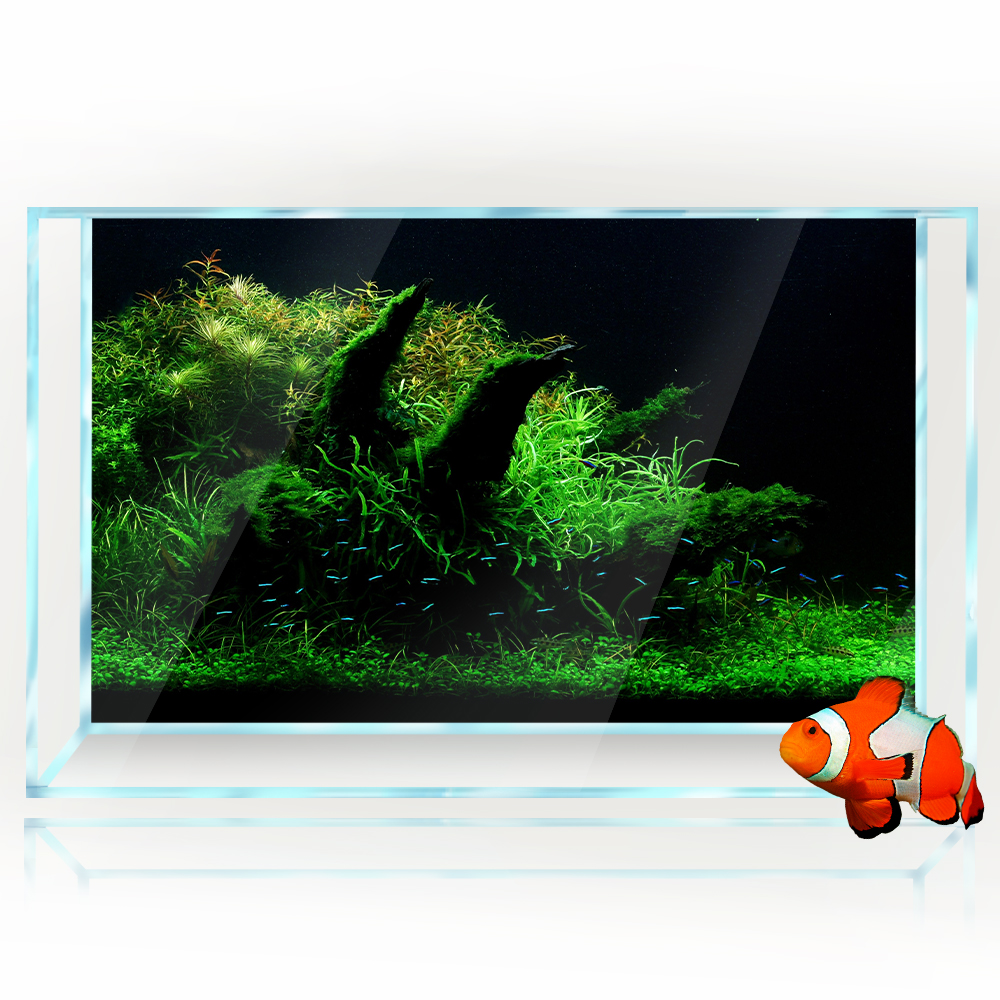Aquarium Background Fish Tank  - Aquarium Fish Poster avis et prix