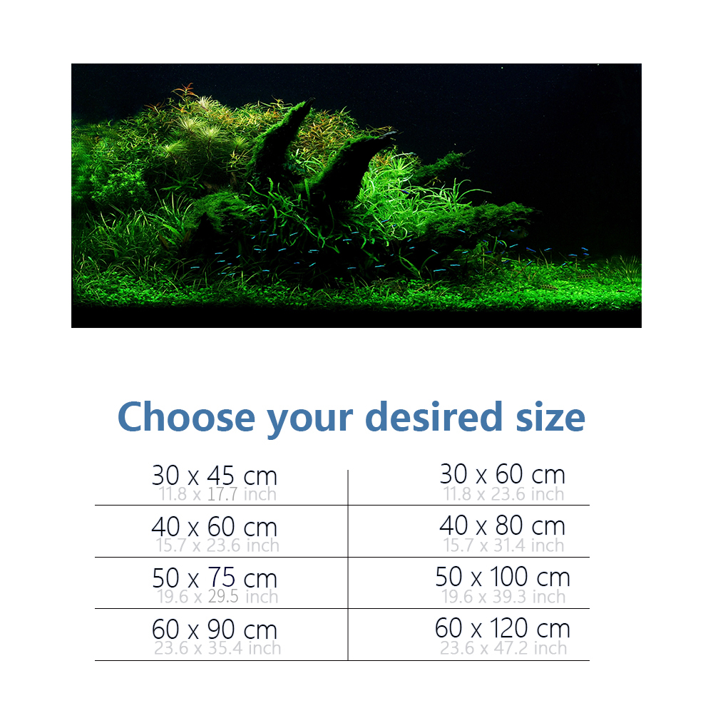 Aquarium Background Fish Tank  - Aquarium Fish Poster avis et prix