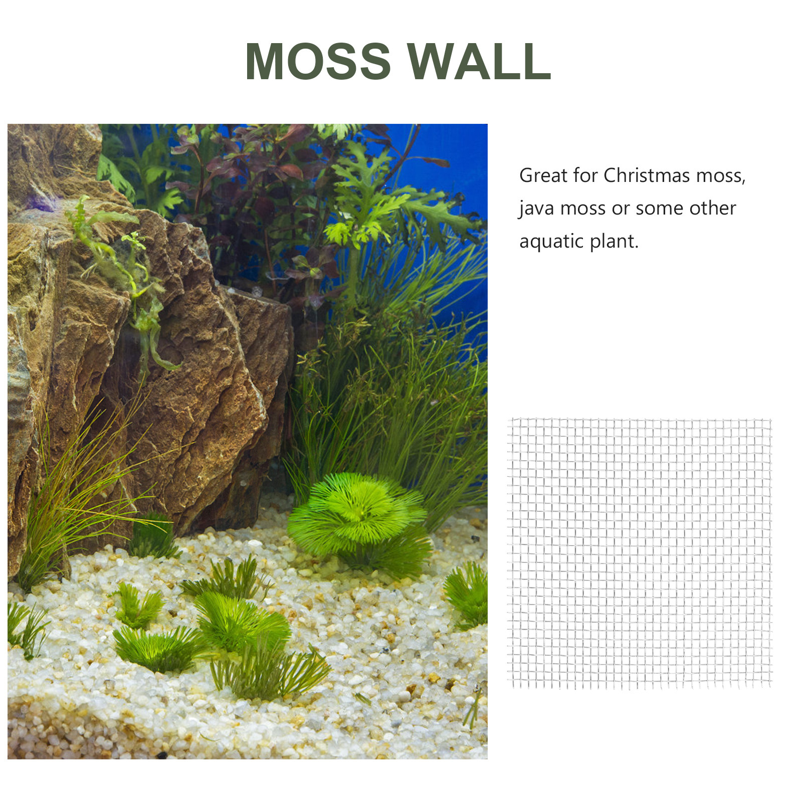 15Pcs Stainless Steel Moss Mes - Aquarium Fish Low Maintenance avis et prix