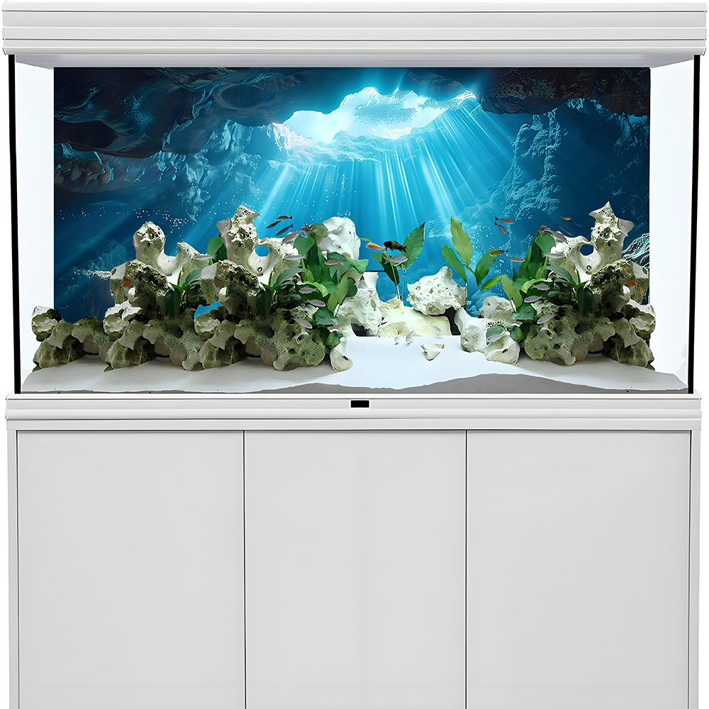 Sunshine Cave，Fish tank backgr - Aquarium Fish Poster avis et prix
