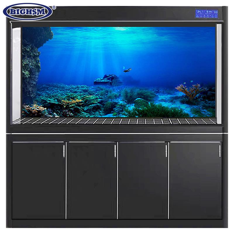 1Pcs Fish Tank Background Deco - Aquarium Fish Poster avis et prix