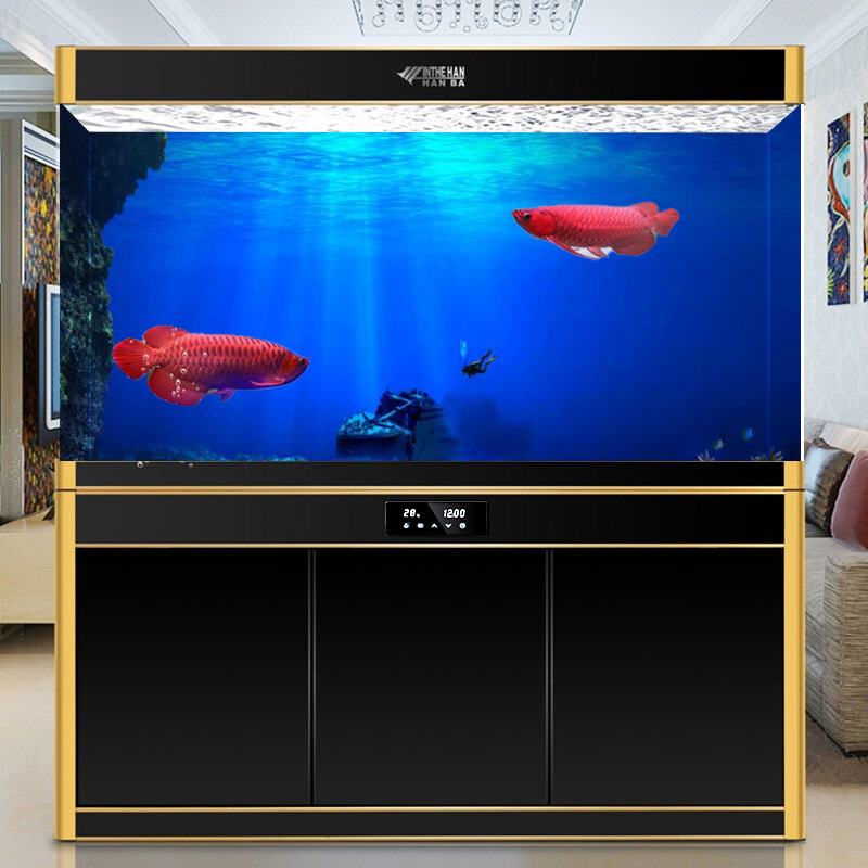 1Pcs Fish Tank Background Deco - Aquarium Fish Poster avis et prix