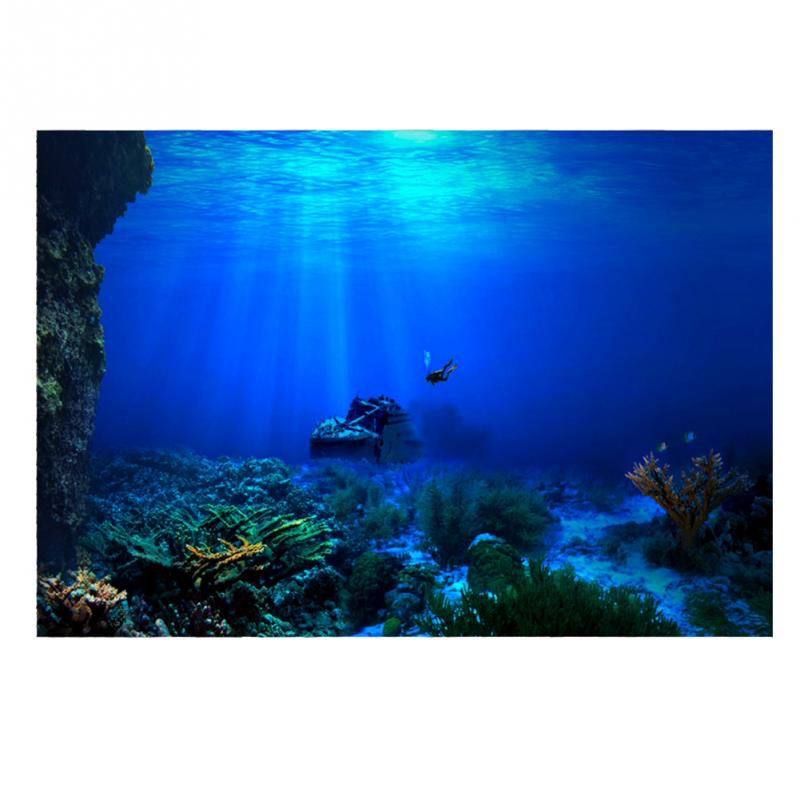 1Pcs Fish Tank Background Deco - Aquarium Fish Poster avis et prix