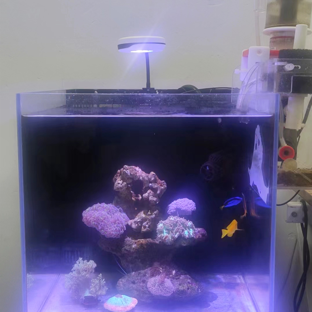 Spectra 20W LED Aquarium Light - Refugium Light Nano avis et prix