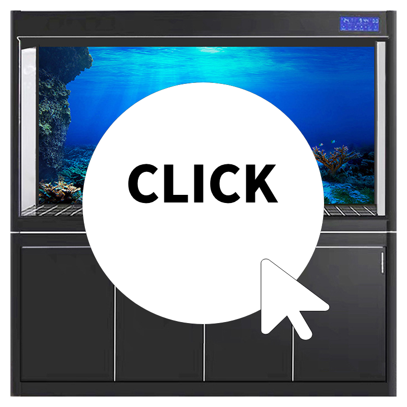 Fish Tank Background Decorativ - Aquarium Fish Background avis et prix