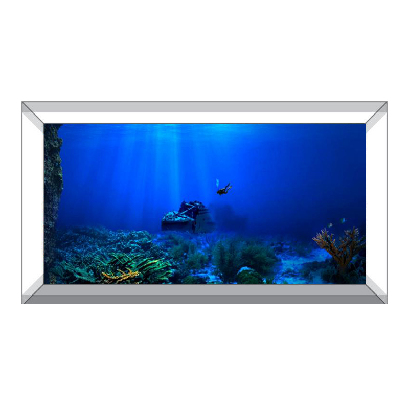 Fish Tank Background Decorativ - Aquarium Fish Background avis et prix