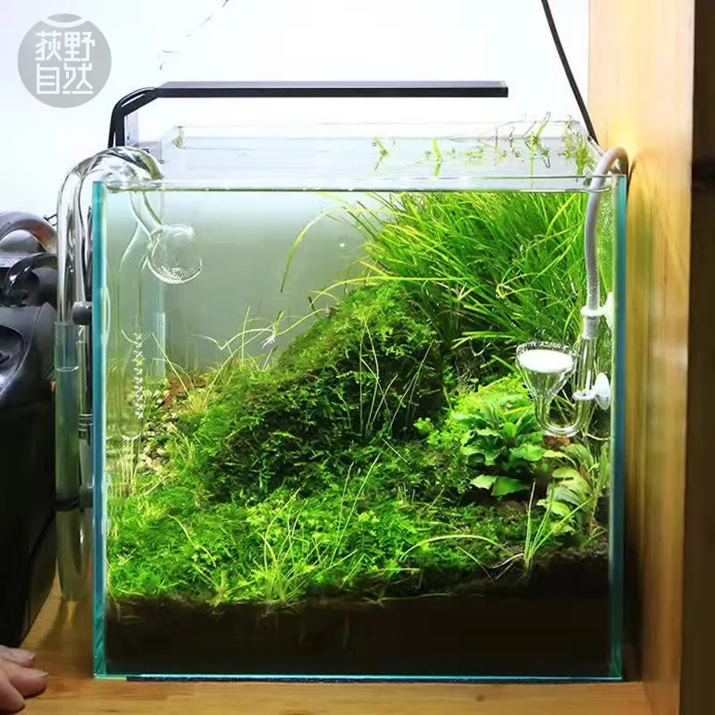 Chihiros C Series ADA Style Pl - Aquarium Fish Background avis et prix