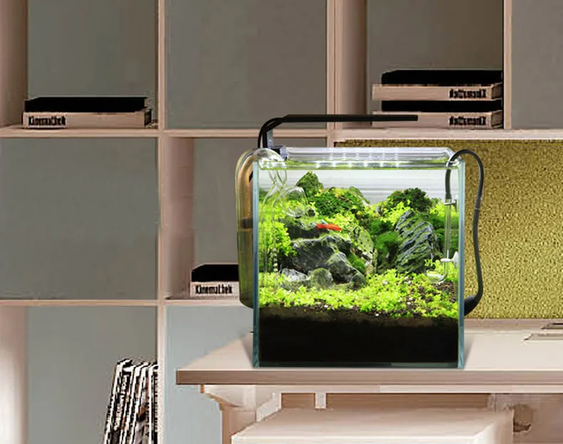 Chihiros C Series ADA Style Pl - Aquarium Fish Background avis et prix
