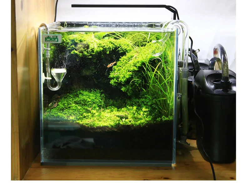 Chihiros C Series ADA Style Pl - Aquarium Fish Background avis et prix