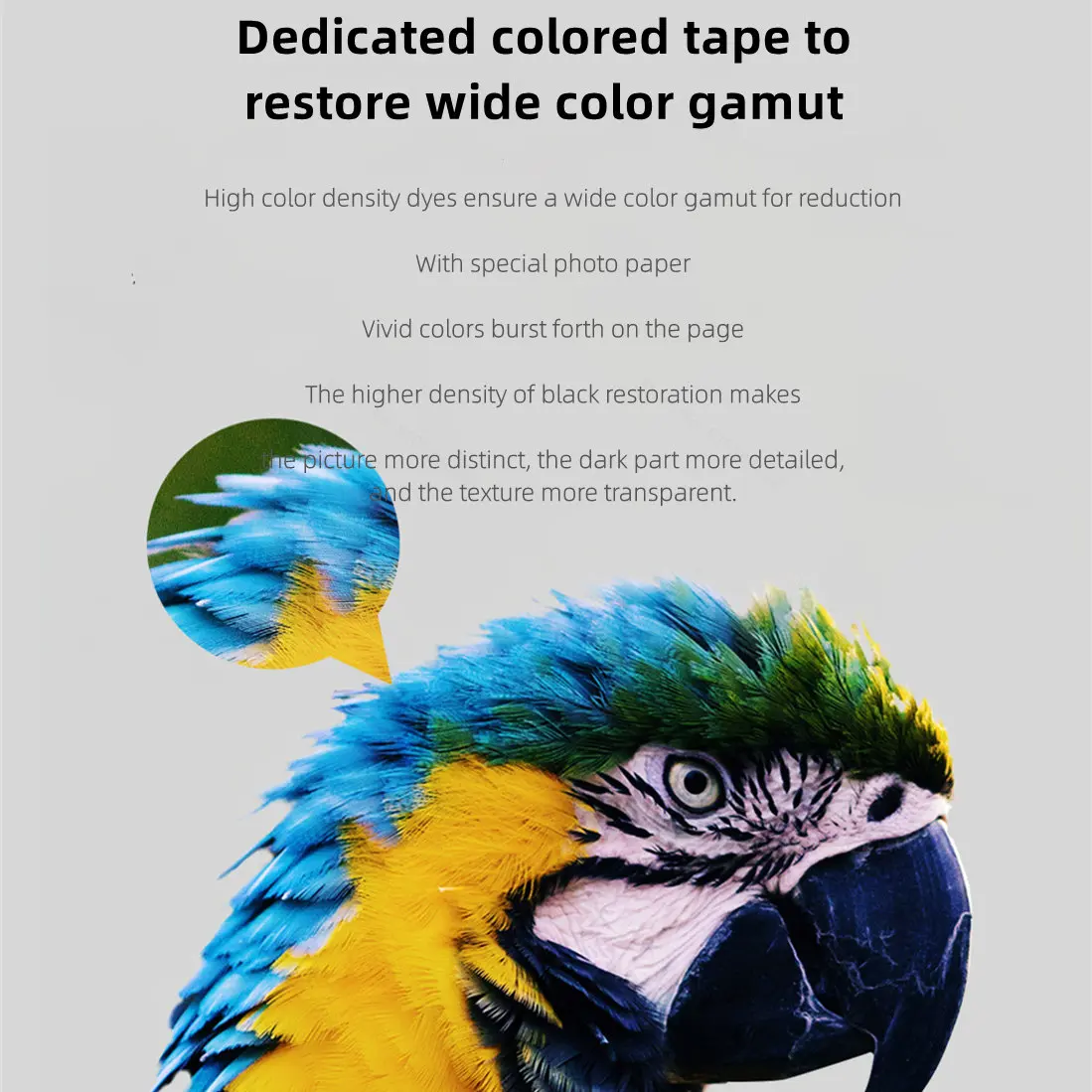 MIjia Photo Printer Dedicated  - Aquarium Xiaomi avis et prix