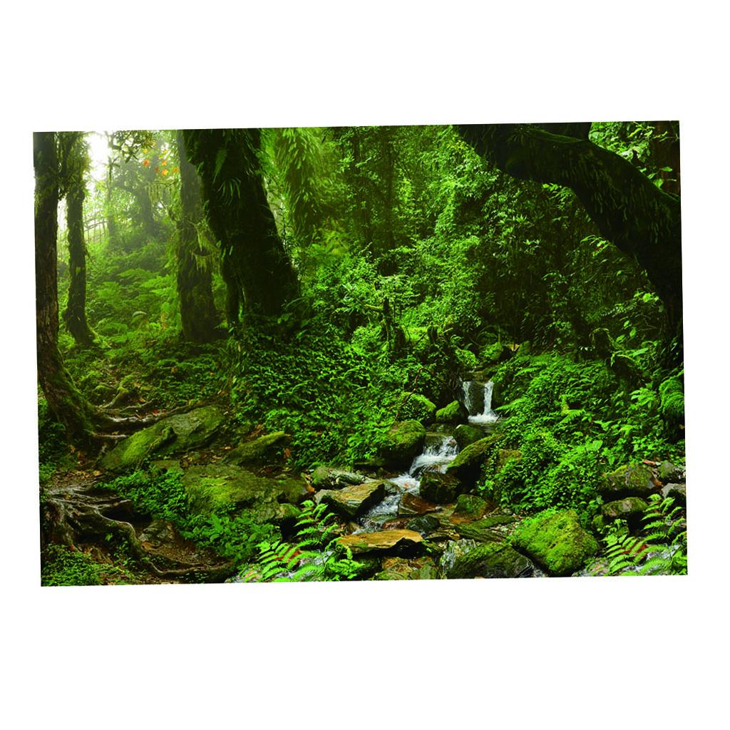 Aquarium Backdrop Poster Vivid - Aquarium Fish Poster avis et prix