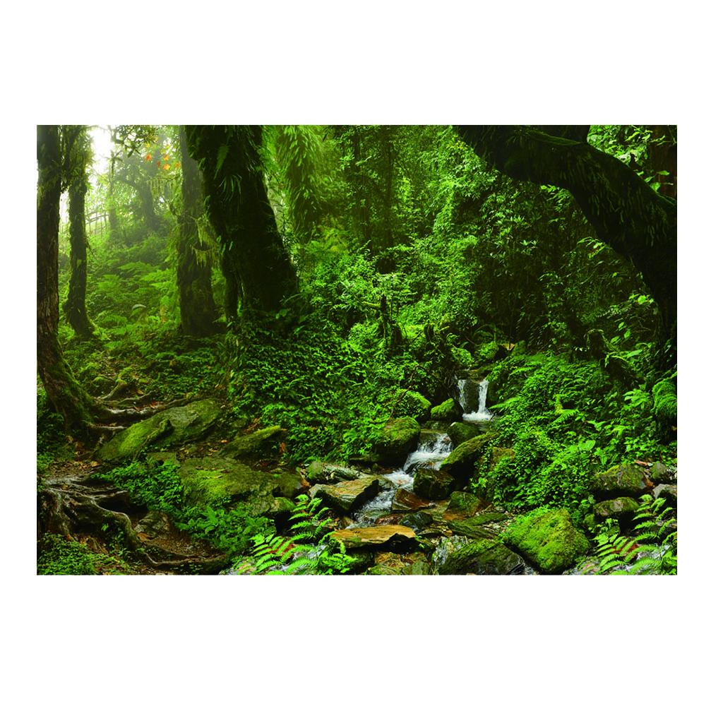 Aquarium Backdrop Poster Vivid - Aquarium Fish Poster avis et prix