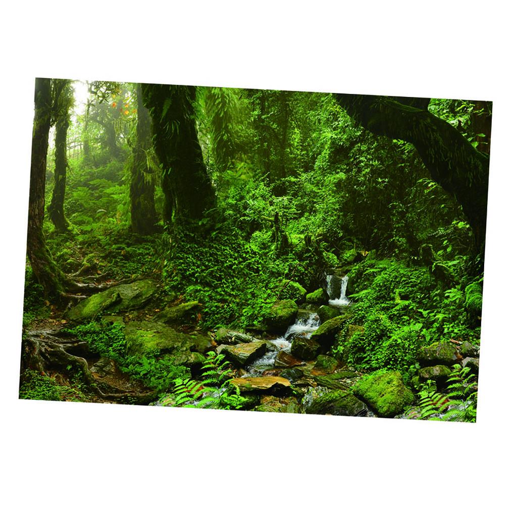 Aquarium Backdrop Poster Vivid - Aquarium Fish Poster avis et prix