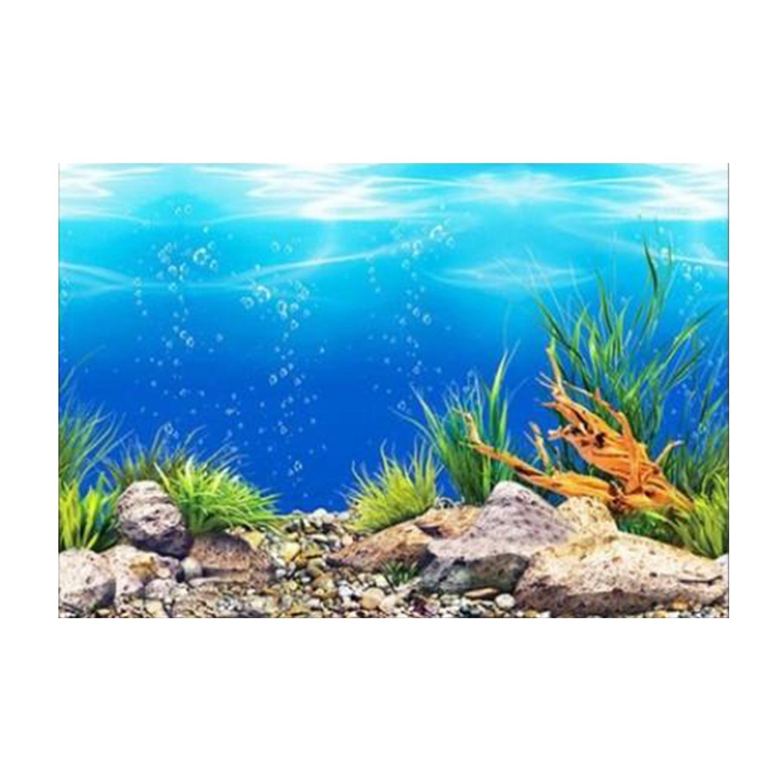 3D Effect Aquarium Background  - Aquarium Fish Poster avis et prix