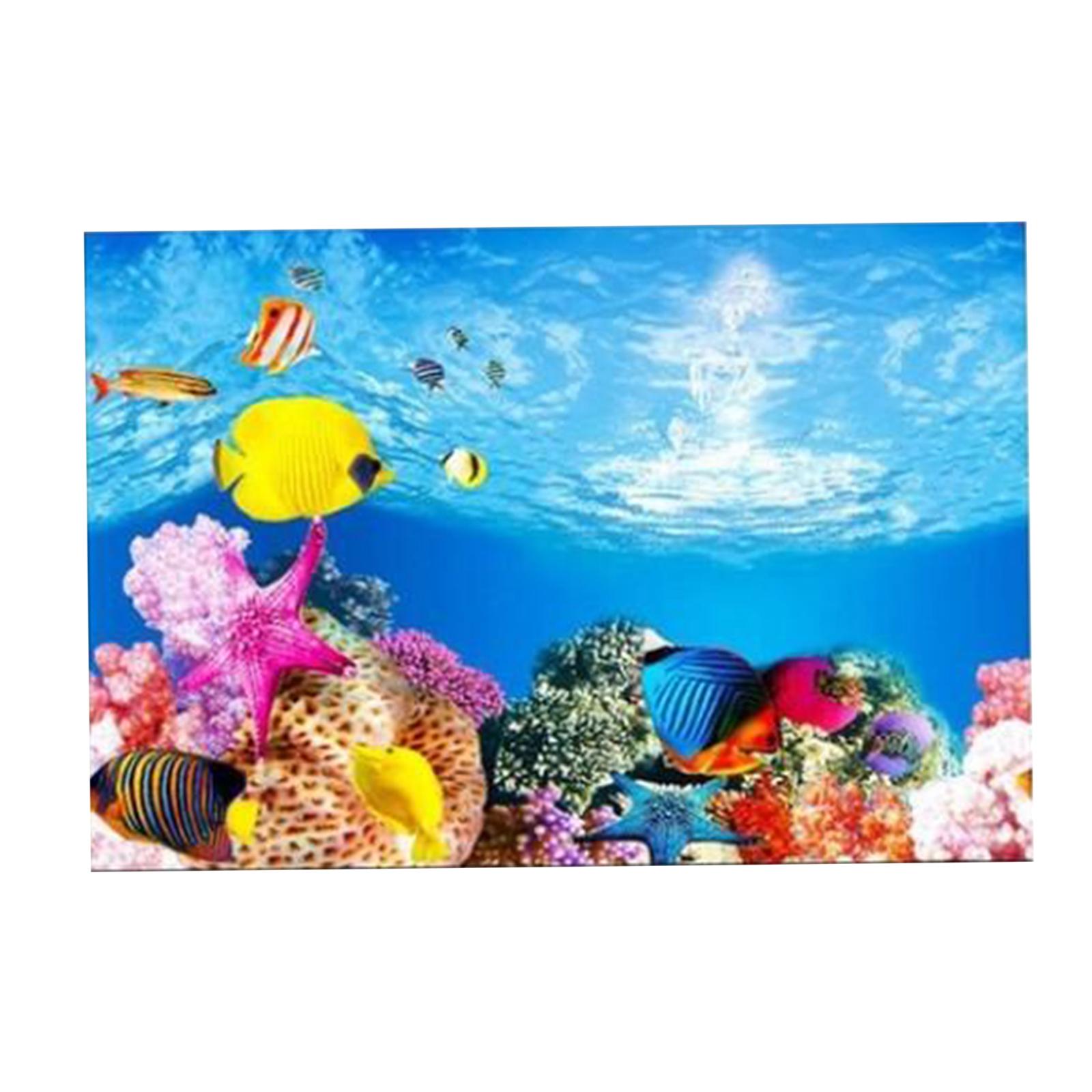 3D Effect Aquarium Background  - Aquarium Fish Poster avis et prix