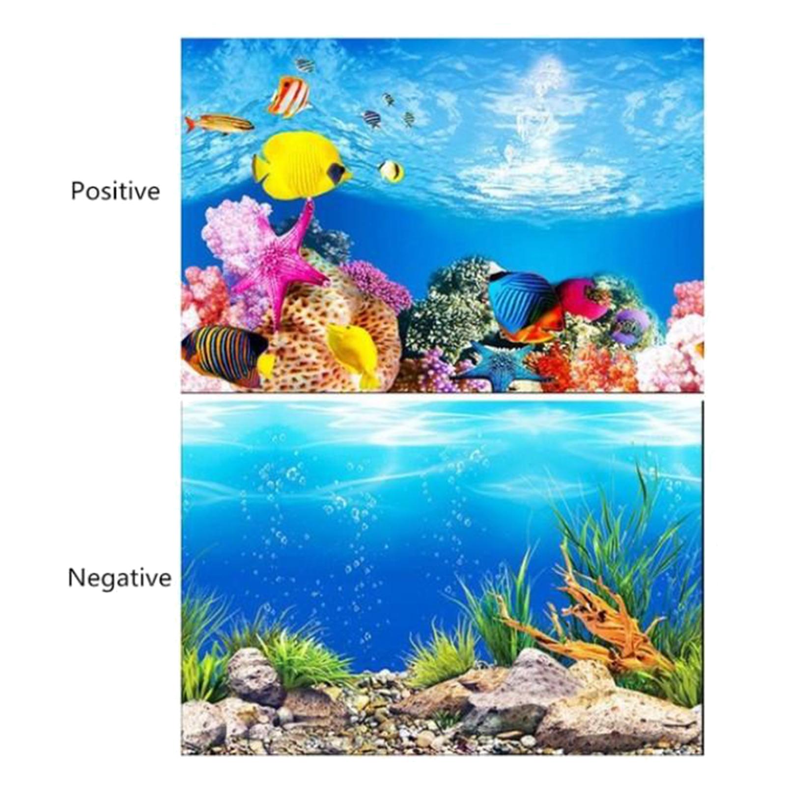 3D Effect Aquarium Background  - Aquarium Fish Poster avis et prix