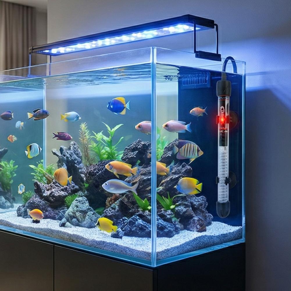 EU Aquarium heater 25W/50W/100 - Aquarium Heater Submersible avis et prix