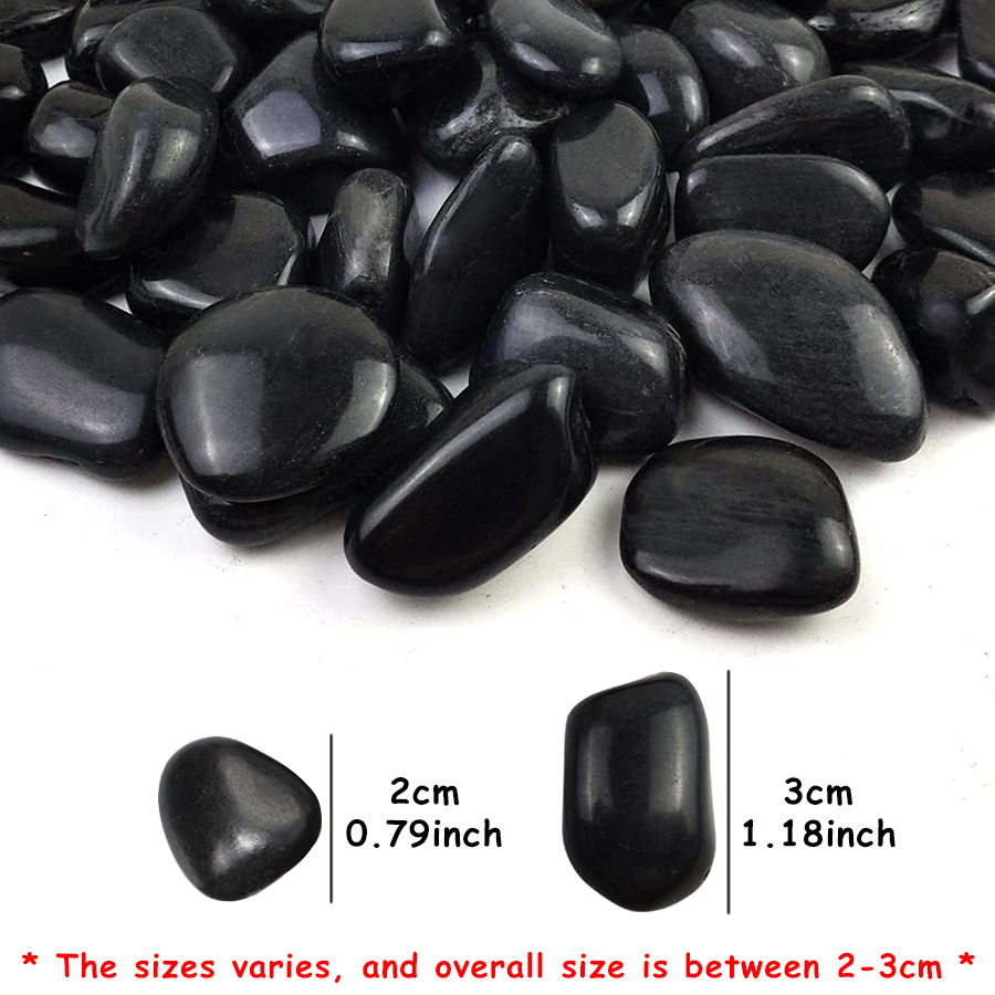200g Black High Polished Natur - Aquarium Fish Gallery avis et prix