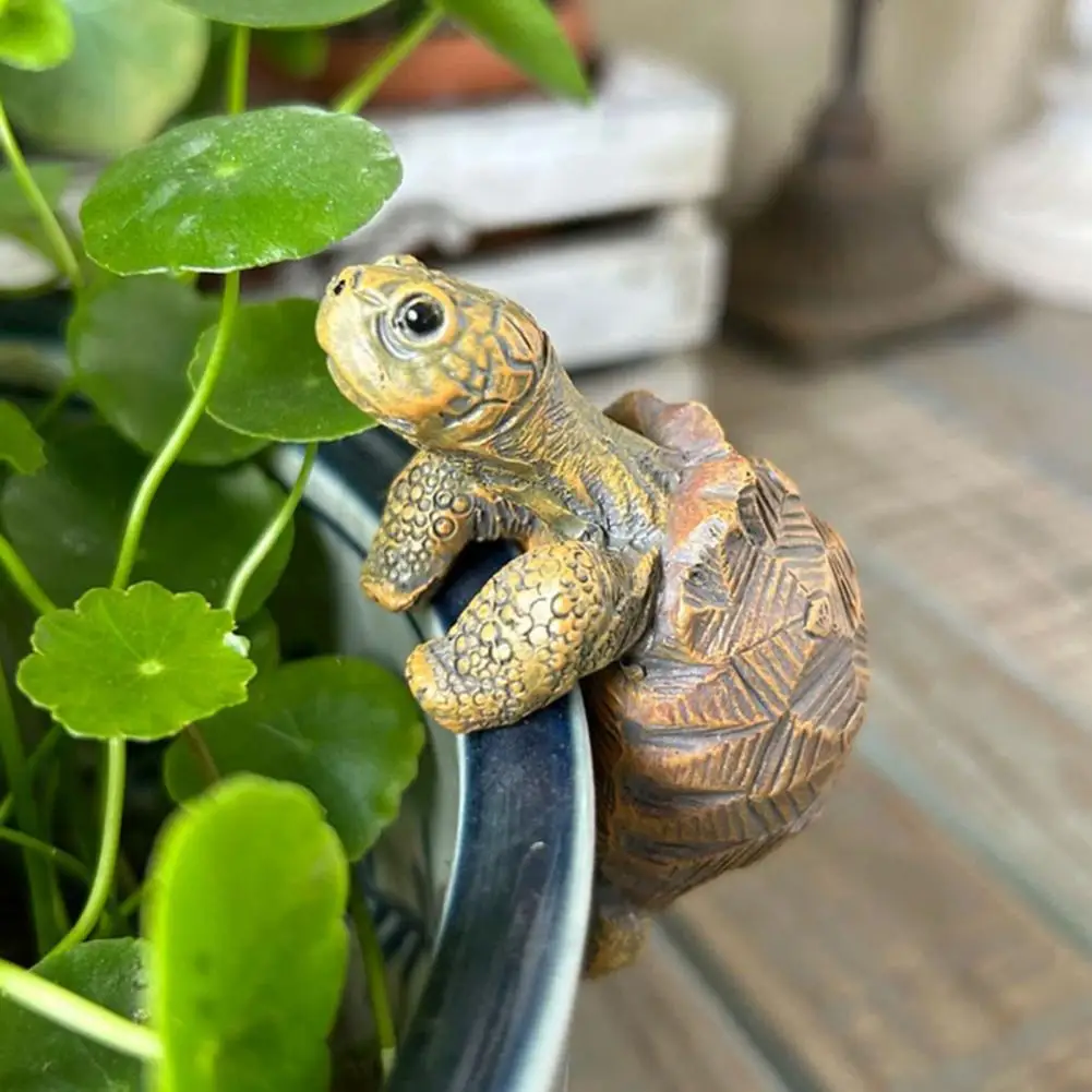 Fishing Turtle Hanging Turtle  - Aquarium Fish Gallery avis et prix